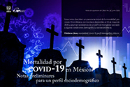 Mortalidad por Covid-19 en México. Notas preliminares para un perfil sociodemográfico [485]